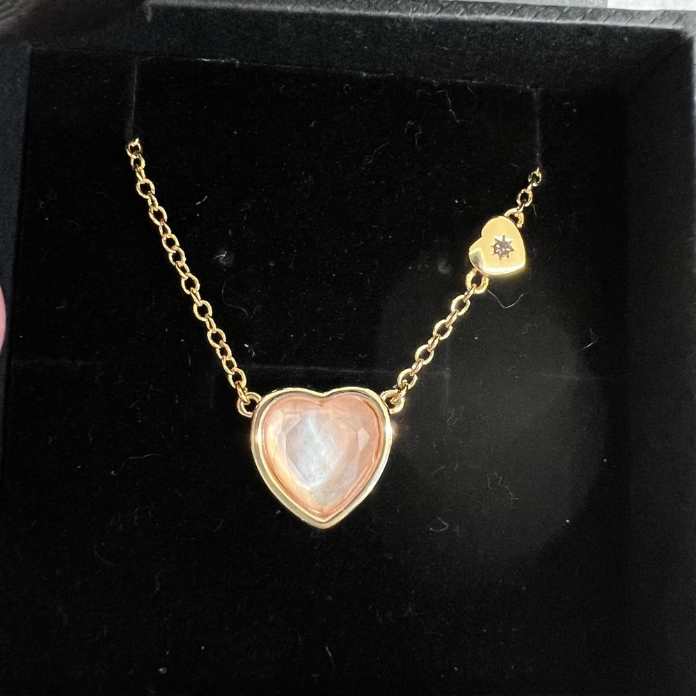 Coach pendant